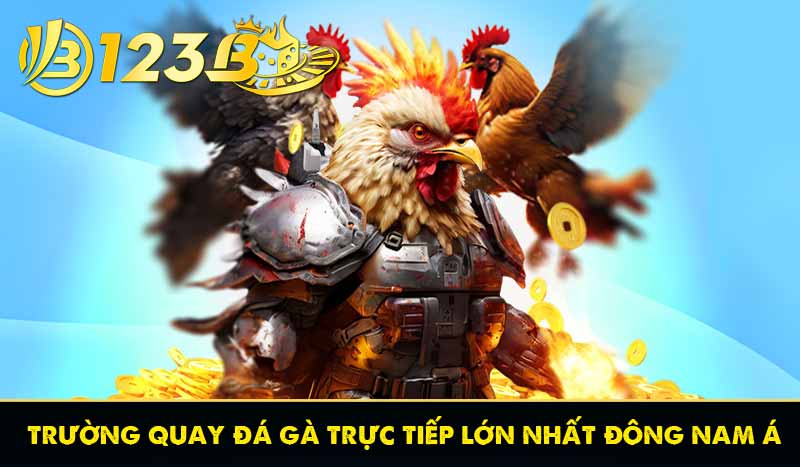 TRANG CHỦ 21 trường quay đá gà trực tiếp lớn nhất đông nam á